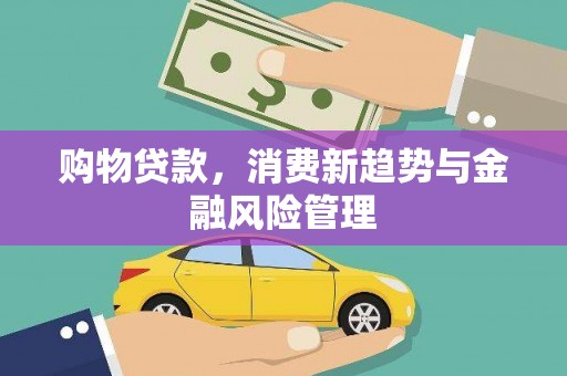 山南购物贷款，消费新趋势与金融风险管理