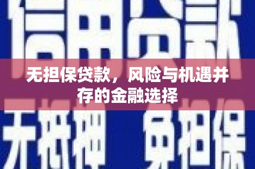山南无担保贷款，风险与机遇并存的金融选择