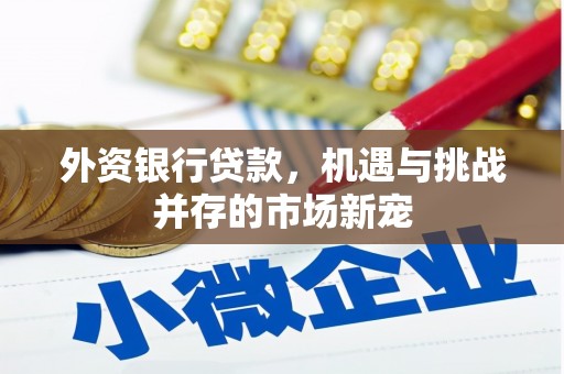 山南外资银行贷款，机遇与挑战并存的市场新宠