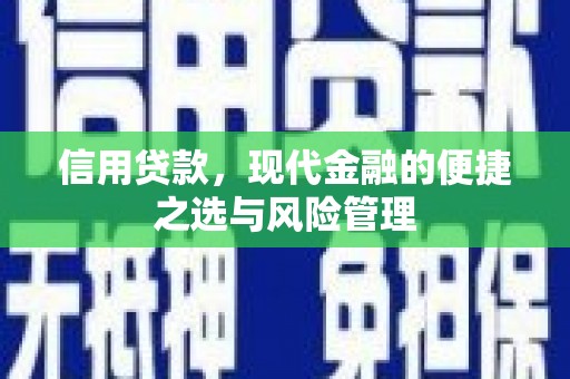 山南信用贷款，现代金融的便捷之选与风险管理