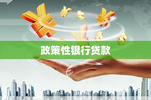 山南政策性银行贷款