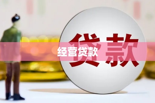 山南经营贷款