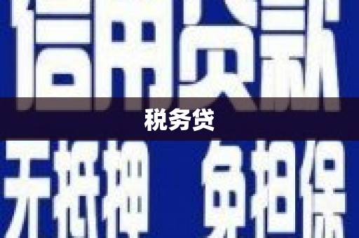 山南税务贷