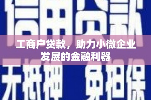 山南工商户贷款，助力小微企业发展的金融利器