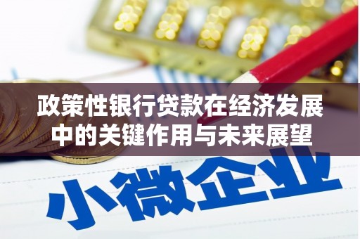 山南政策性银行贷款在经济发展中的关键作用与未来展望