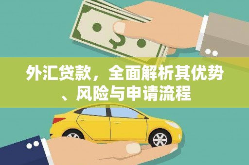 山南外汇贷款，全面解析其优势、风险与申请流程