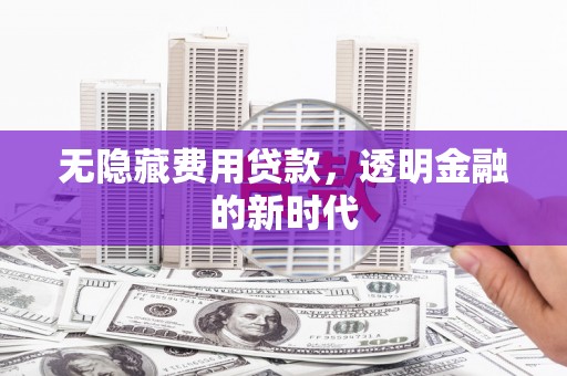 山南无隐藏费用贷款，透明金融的新时代