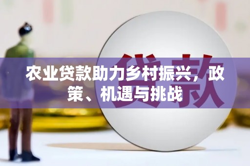 山南农业贷款助力乡村振兴，政策、机遇与挑战