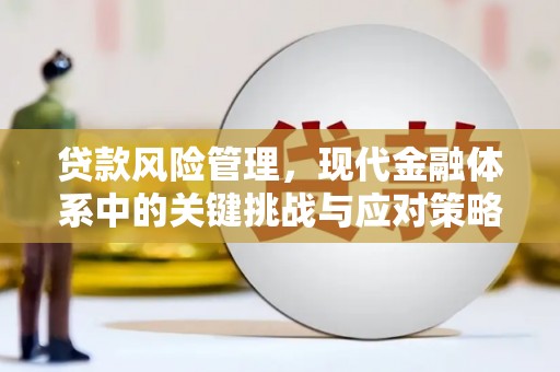 山南贷款风险管理，现代金融体系中的关键挑战与应对策略