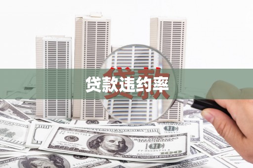 山南贷款违约率