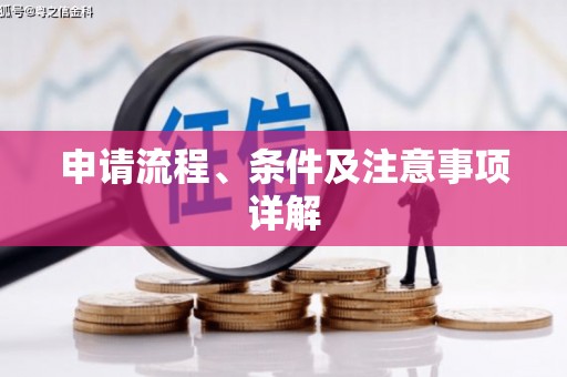 山南申请流程、条件及注意事项详解
