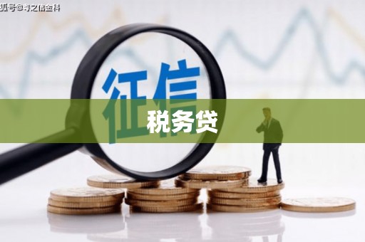 山南税务贷
