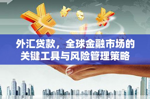 山南外汇贷款，全球金融市场的关键工具与风险管理策略