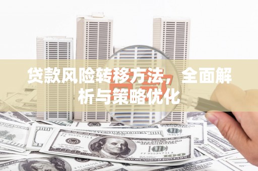 山南贷款风险转移方法，全面解析与策略优化