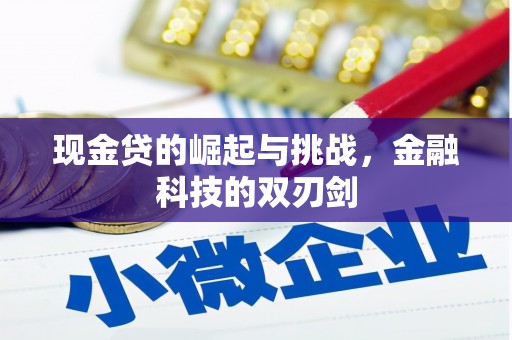 山南现金贷的崛起与挑战，金融科技的双刃剑