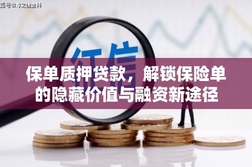 山南保单质押贷款，解锁保险单的隐藏价值与融资新途径