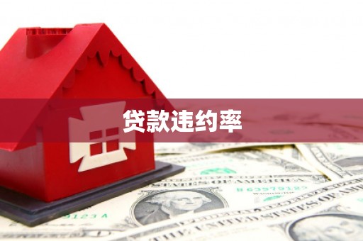 山南贷款违约率