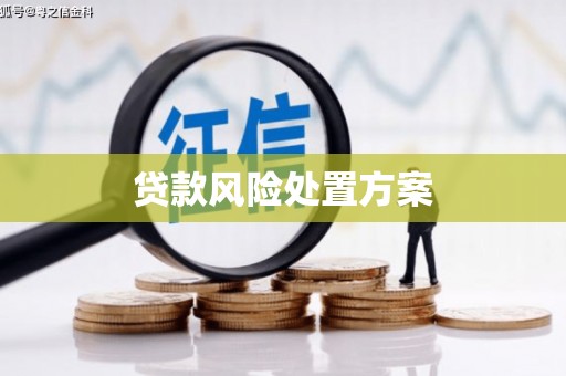 山南贷款风险处置方案