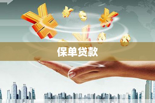 山南保单贷款