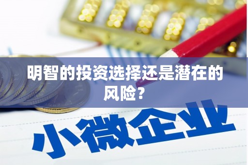 山南明智的投资选择还是潜在的风险？