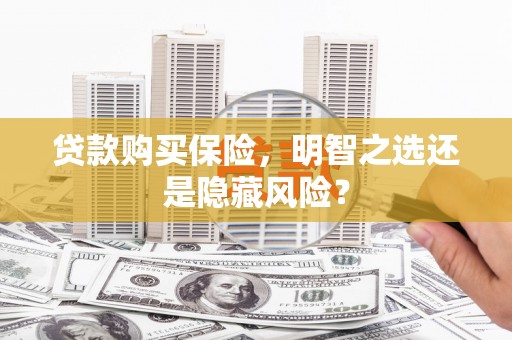 山南贷款购买保险，明智之选还是隐藏风险？