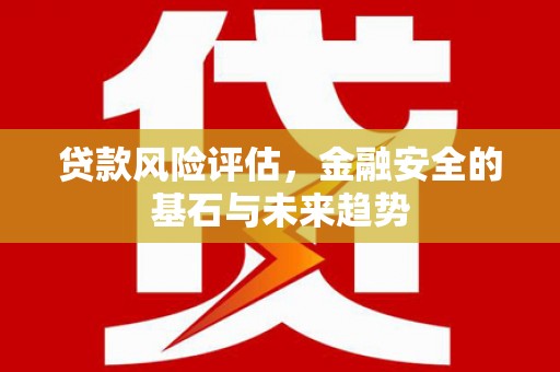 山南贷款风险评估，金融安全的基石与未来趋势