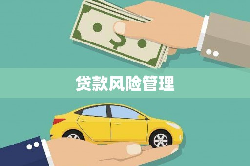 山南贷款风险管理