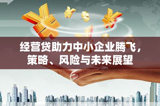 山南经营贷助力中小企业腾飞，策略、风险与未来展望