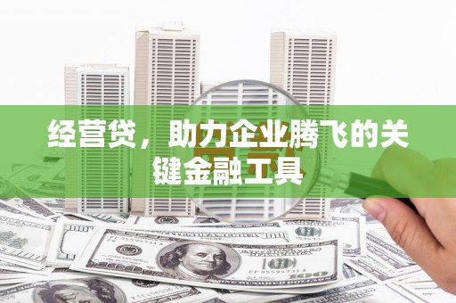 山南经营贷，助力企业腾飞的关键金融工具