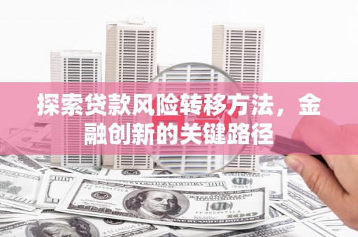 山南探索贷款风险转移方法，金融创新的关键路径