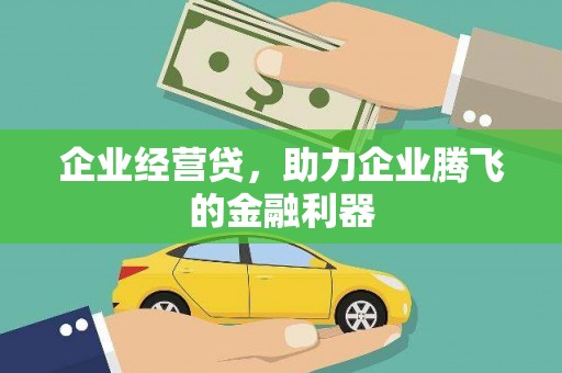 山南企业经营贷，助力企业腾飞的金融利器