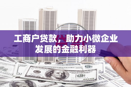 山南工商户贷款，助力小微企业发展的金融利器