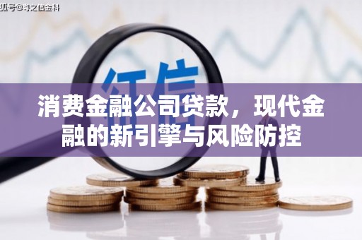 山南消费金融公司贷款，现代金融的新引擎与风险防控