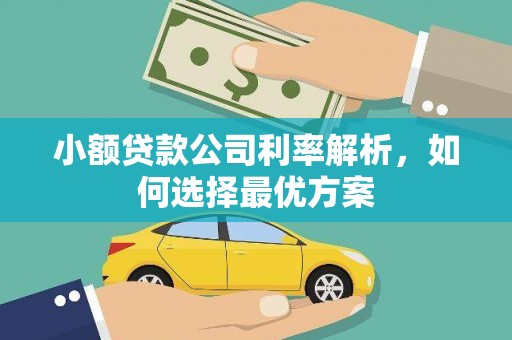 山南小额贷款公司利率解析，如何选择最优方案