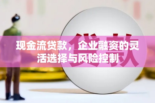 山南现金流贷款，企业融资的灵活选择与风险控制