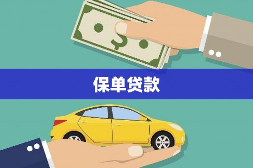 山南保单贷款