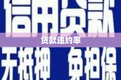 山南贷款违约率