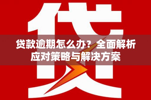 山南贷款逾期怎么办？全面解析应对策略与解决方案