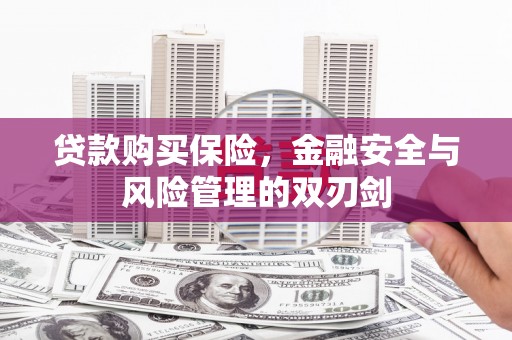 山南贷款购买保险，金融安全与风险管理的双刃剑