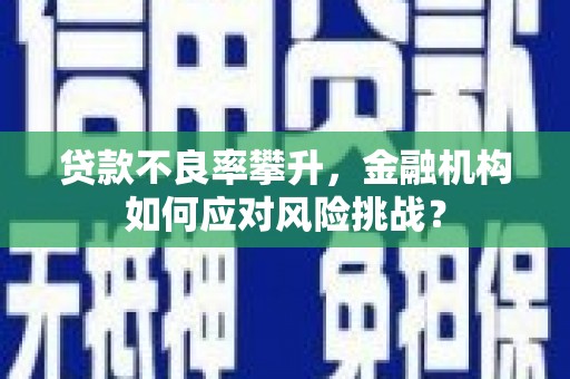 山南贷款不良率攀升，金融机构如何应对风险挑战？