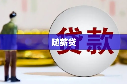 山南随薪贷