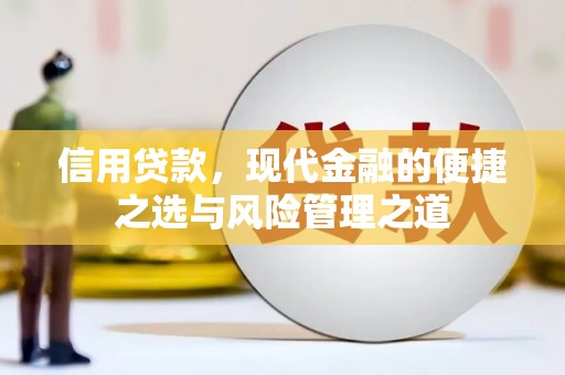 山南信用贷款，现代金融的便捷之选与风险管理之道