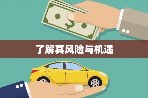 山南了解其风险与机遇