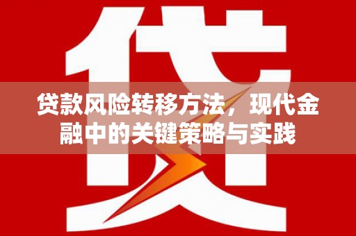 山南贷款风险转移方法，现代金融中的关键策略与实践