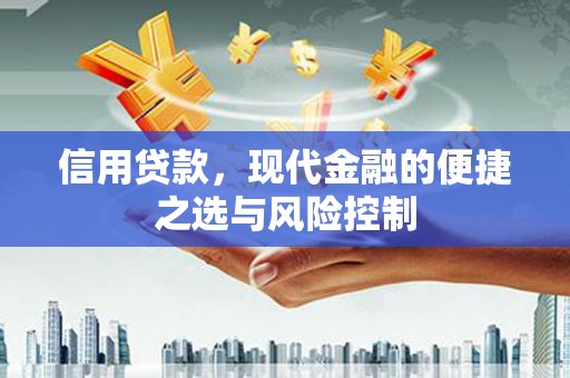 山南信用贷款，现代金融的便捷之选与风险控制