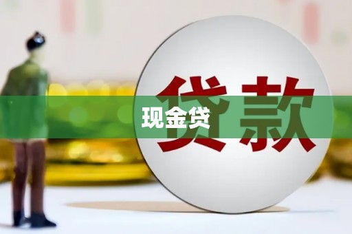 山南现金贷