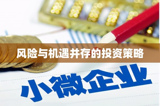 山南风险与机遇并存的投资策略