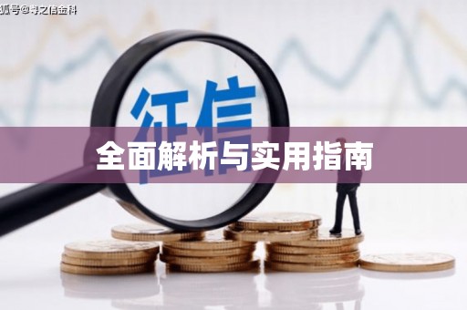 山南全面解析与实用指南