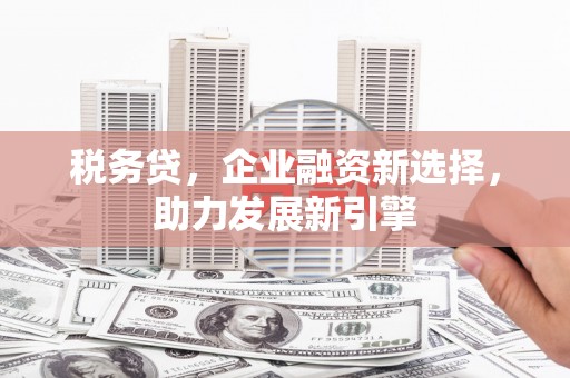 山南税务贷，企业融资新选择，助力发展新引擎