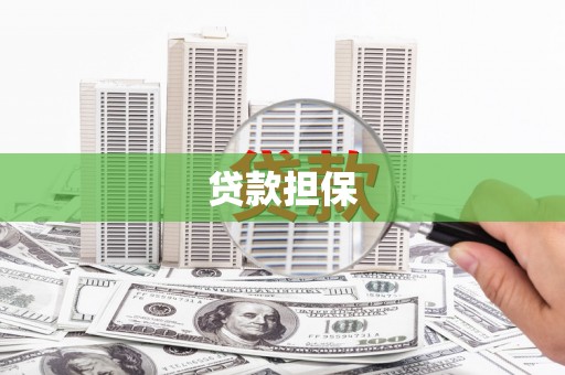 山南贷款担保